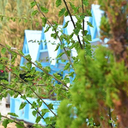 Cflow Beach Resort Byblos Esterno foto