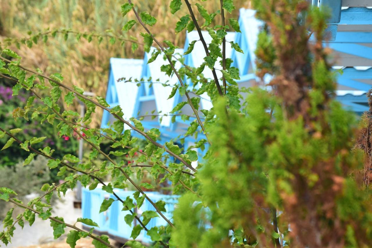 Cflow Beach Resort Byblos Esterno foto